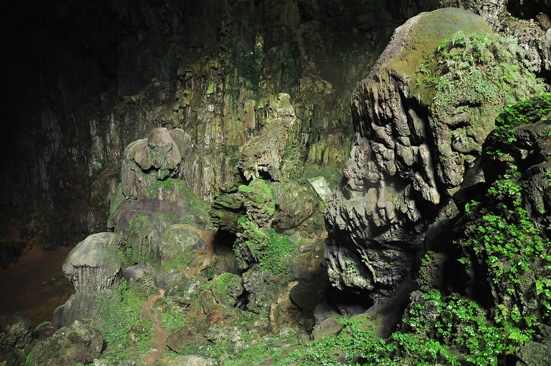Randonnée dans la réserve naturelle de Pu Luong - 3 jours